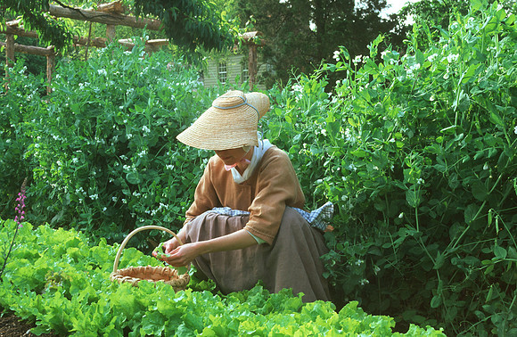 Old Salem Gardens