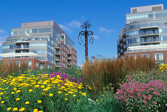 The Music Garden