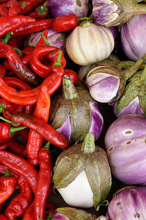 Peppers and Eggplant