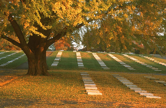 God's Acre