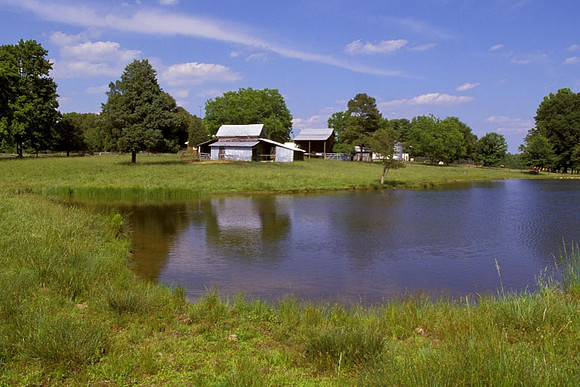 Ferguson Farm